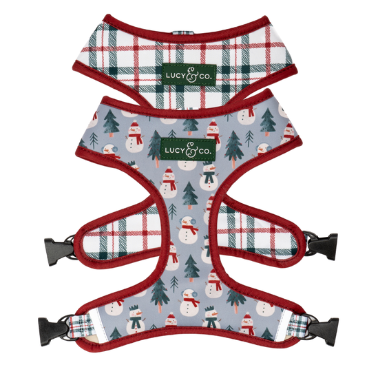 Snow Much Fun Reversible Harness