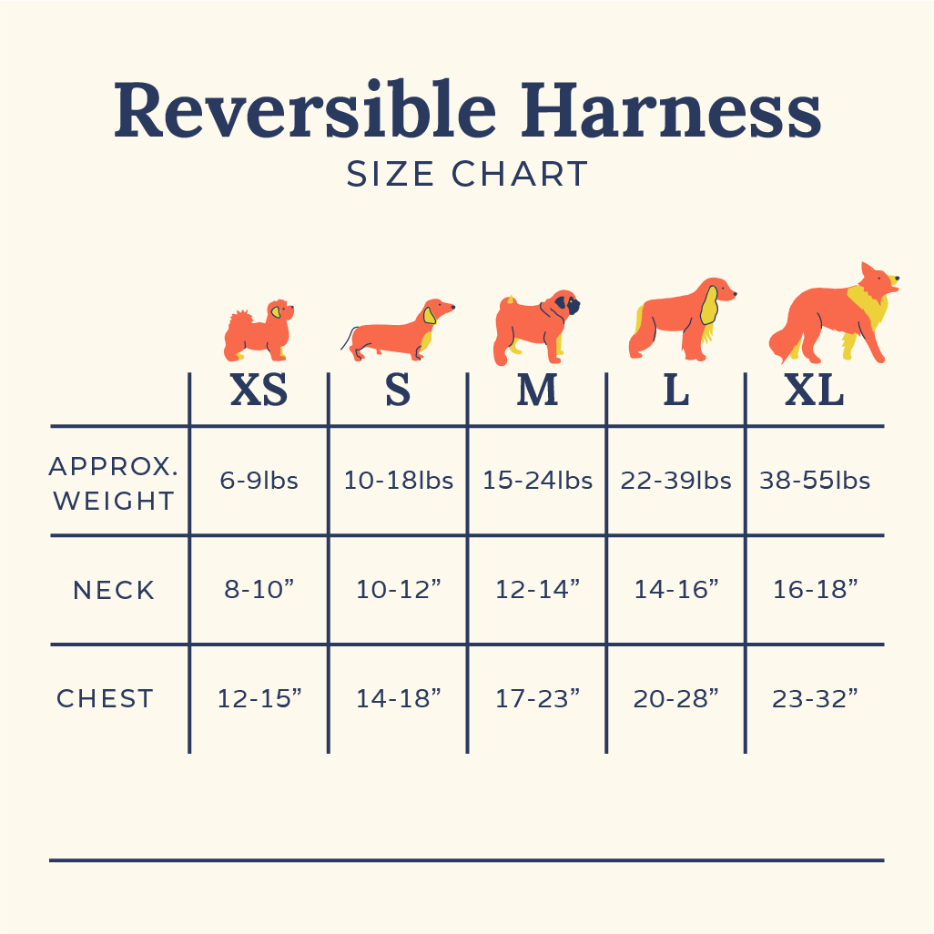 Snow Much Fun Reversible Harness