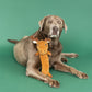 Don't Moose with Me - Flat Plush Dog Toy