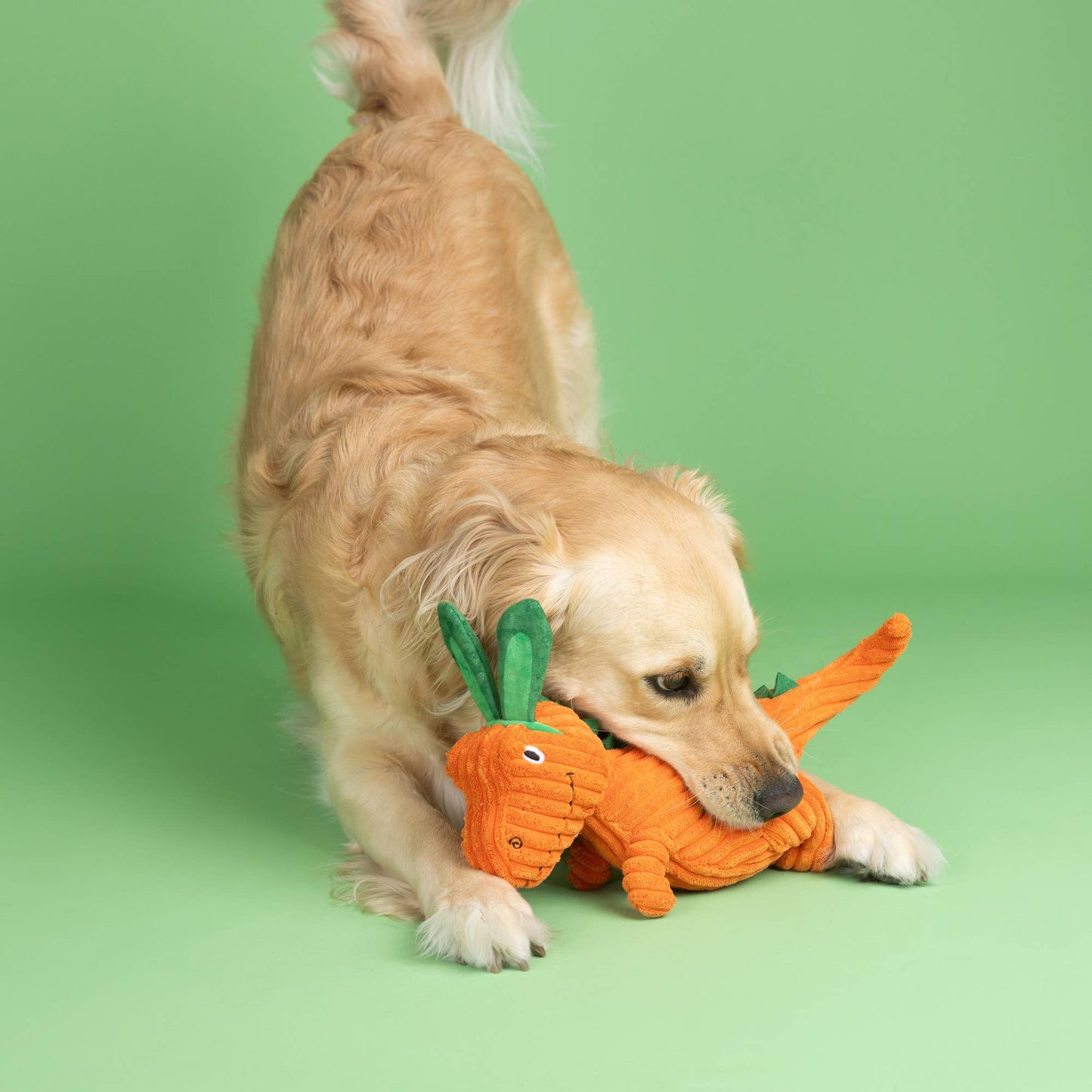 Carrot T-Rex - Plush Dog Toy