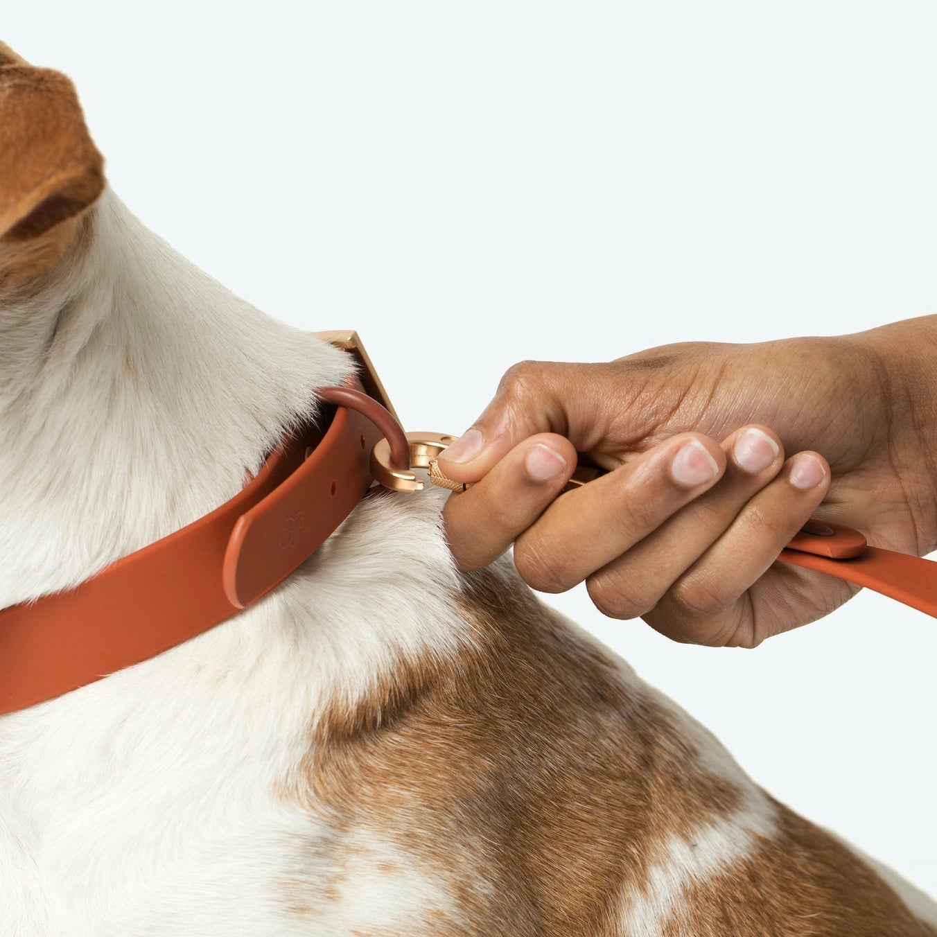 Terracotta Everyday PVC Collar