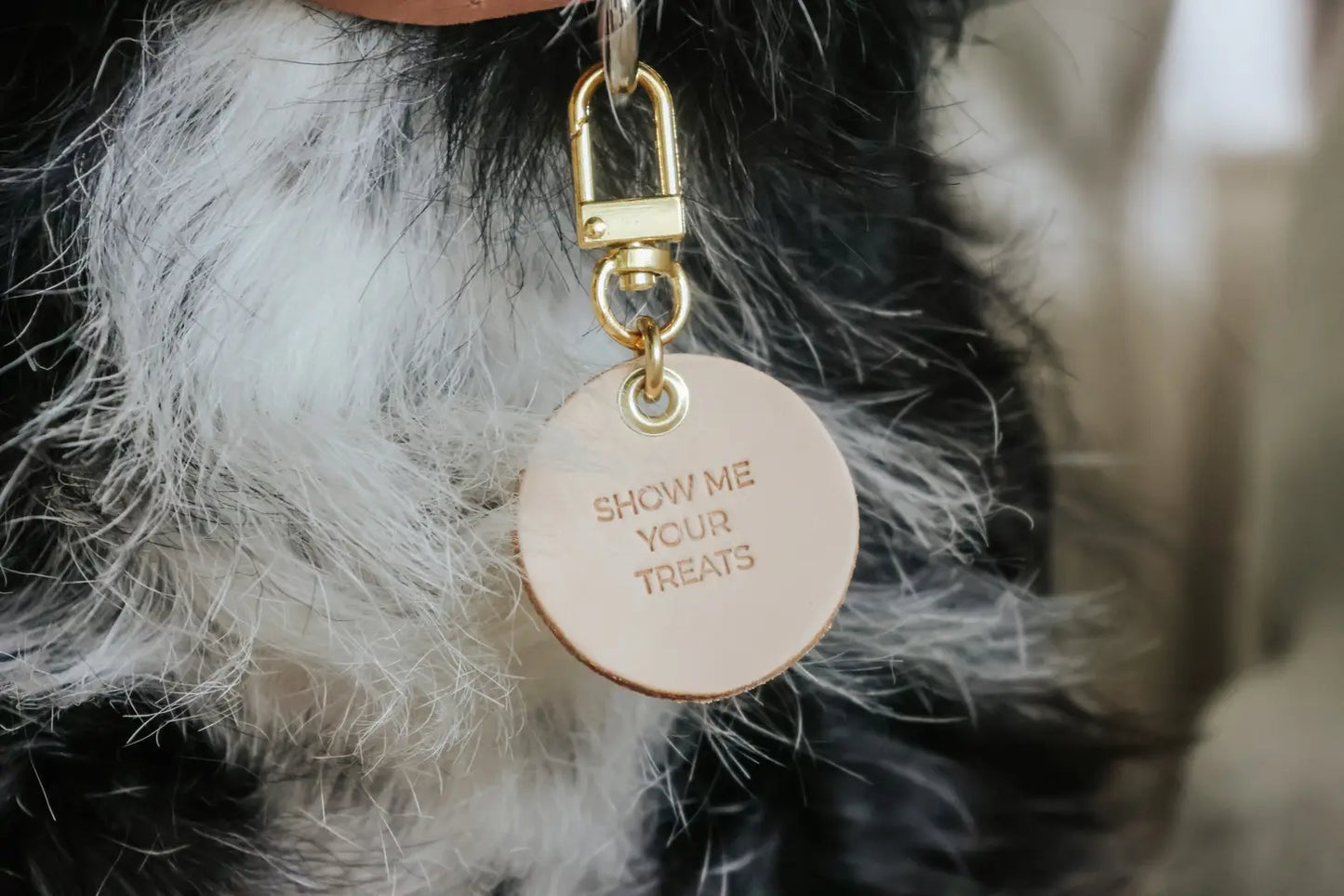 ‘Show Me Your Treats’ Leather Pet Collar Charm