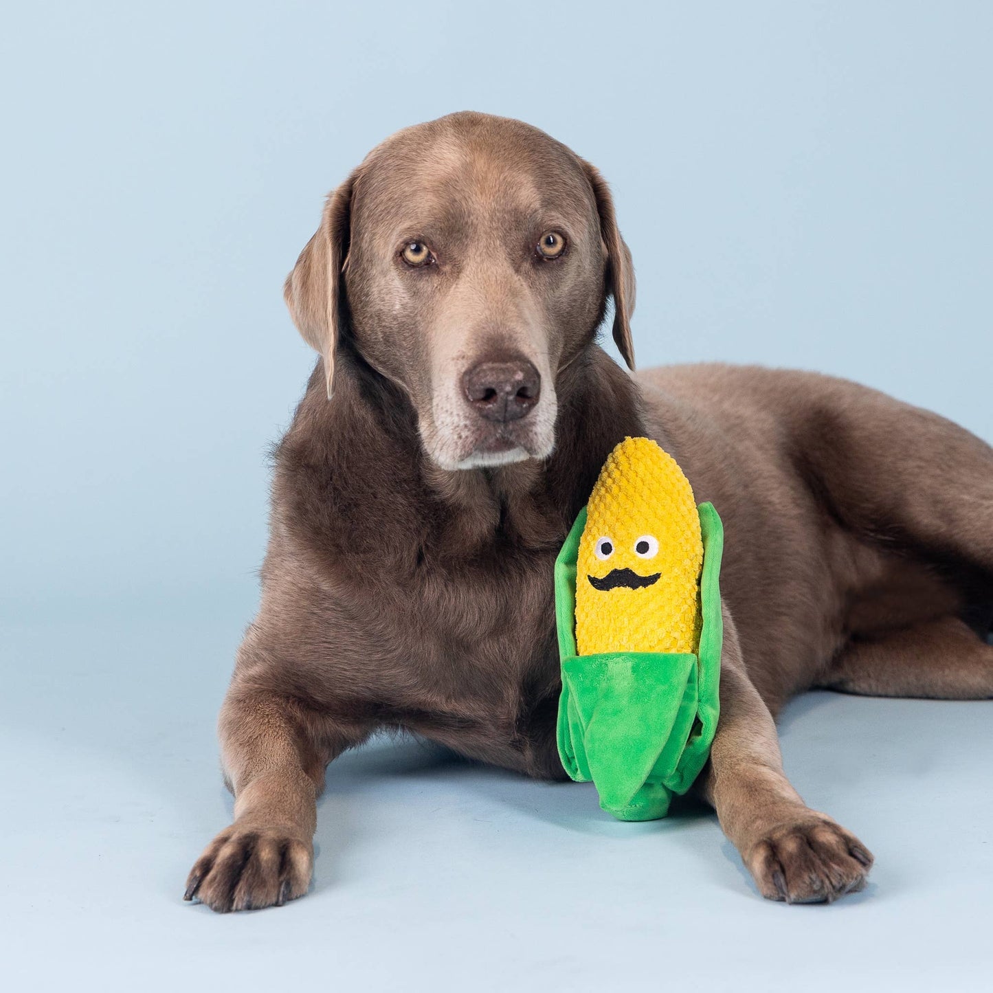 Awww Shucks! Plush Dog Toy