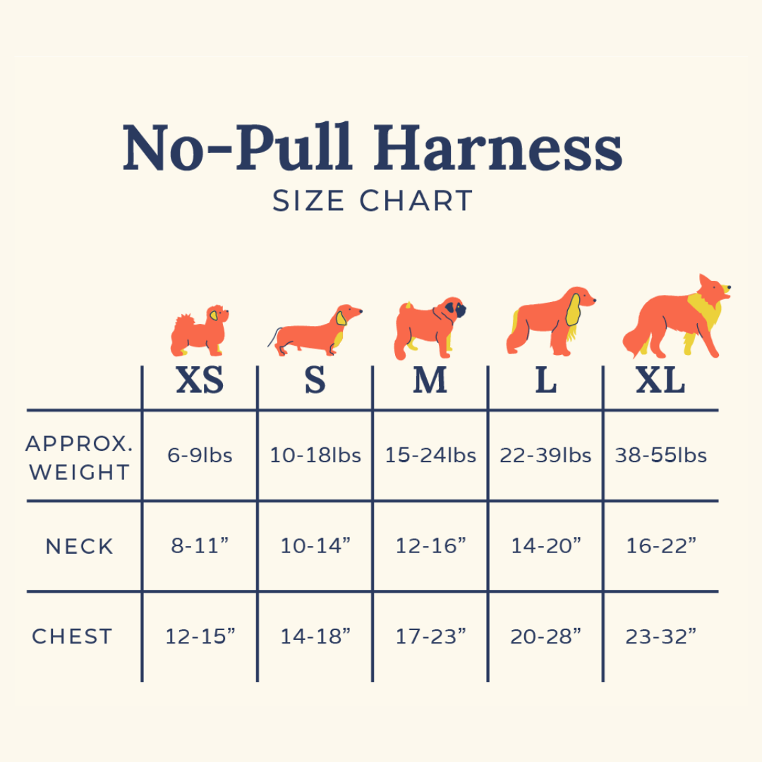 Let it Snow No-Pull Harness