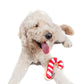 Candy Cane Sugar Cookie Plush Dog Toy