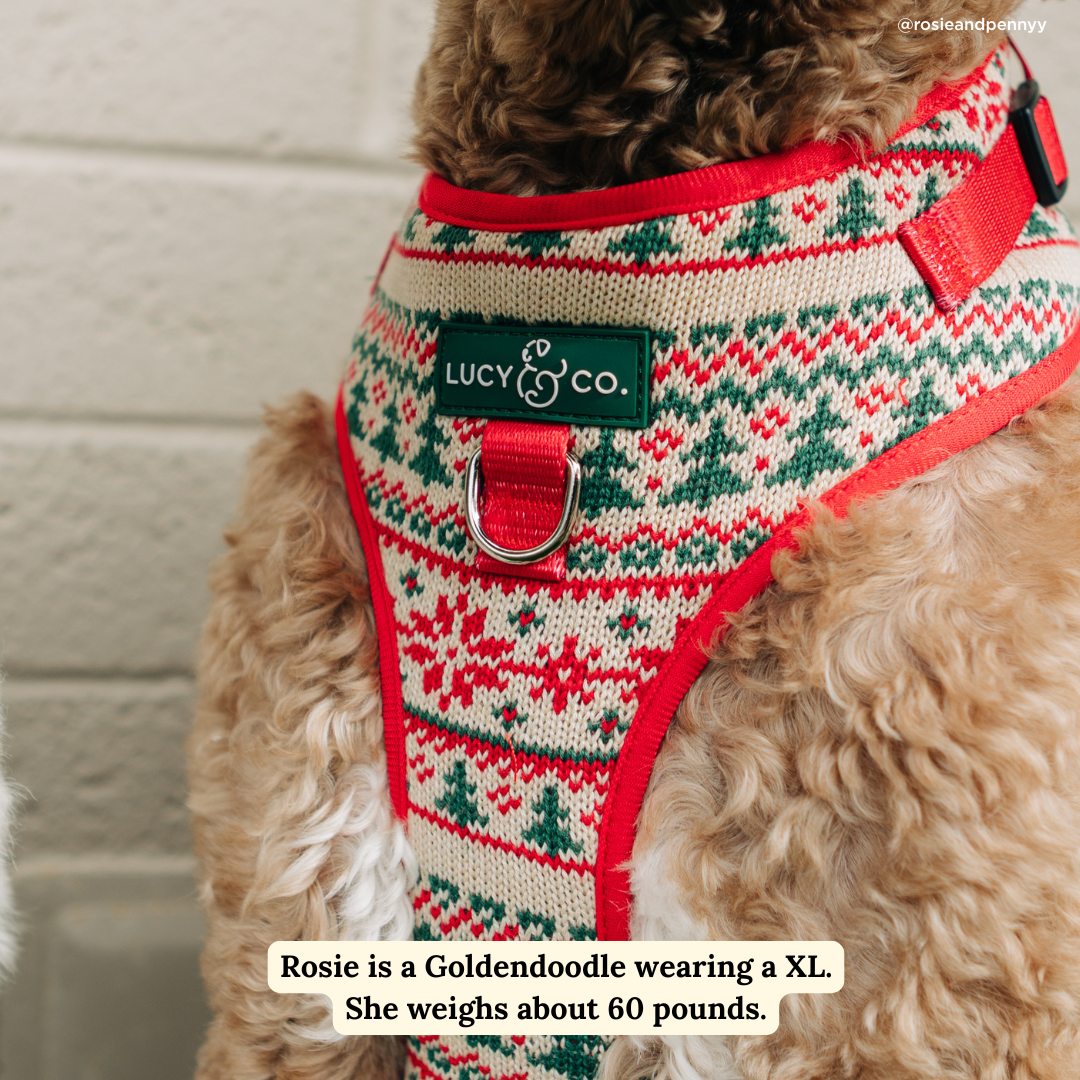 Let it Snow No-Pull Harness