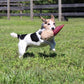 Large Gnome with Squeaker Dog Toy - 12"