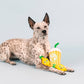 Pucker Up Dog Toy Set with Loud Squeakers