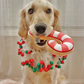 Candy Cane Sugar Cookie Plush Dog Toy