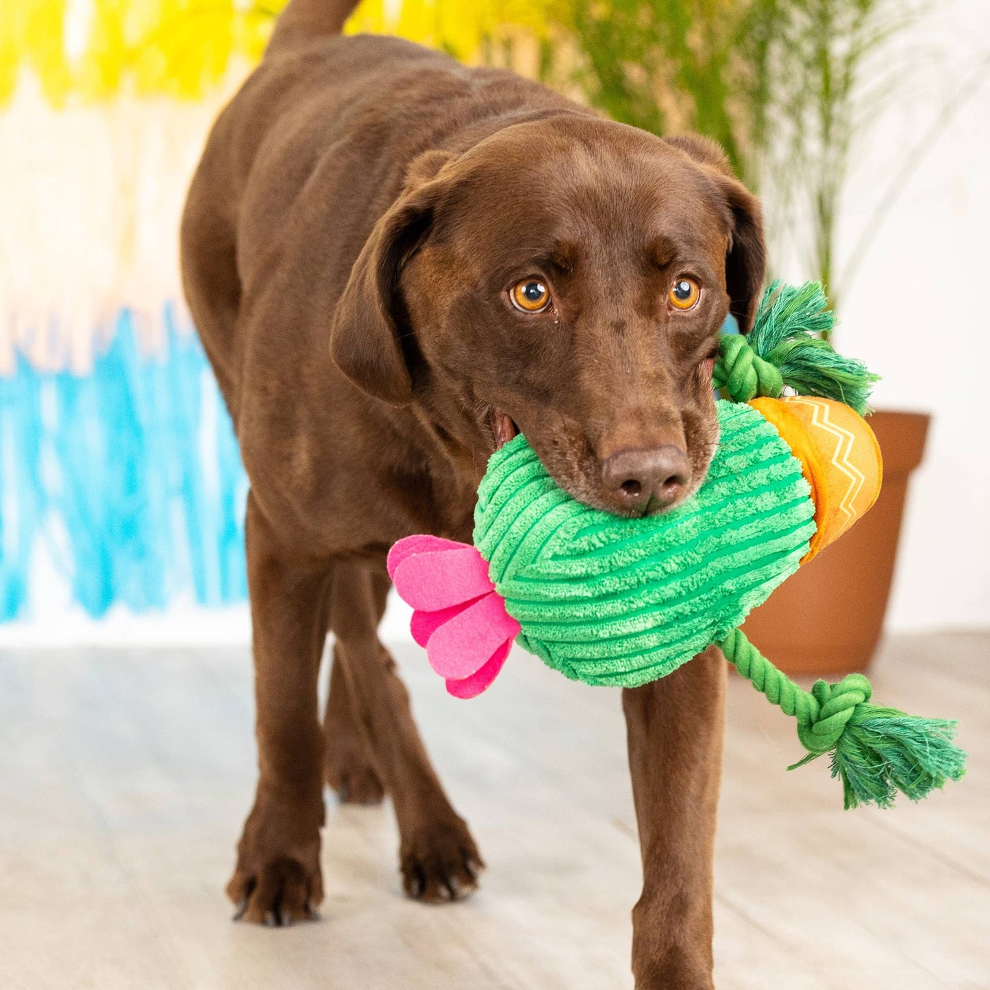 Cactus - Plush Dog Toy