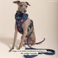 Appley Ever After Corduroy No-Pull Harness