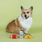 I Got The Hot For You - 3 PCS Small Dog Toy