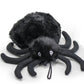 Creepy Baller Spider