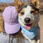 Lilac Dog Mom Hat