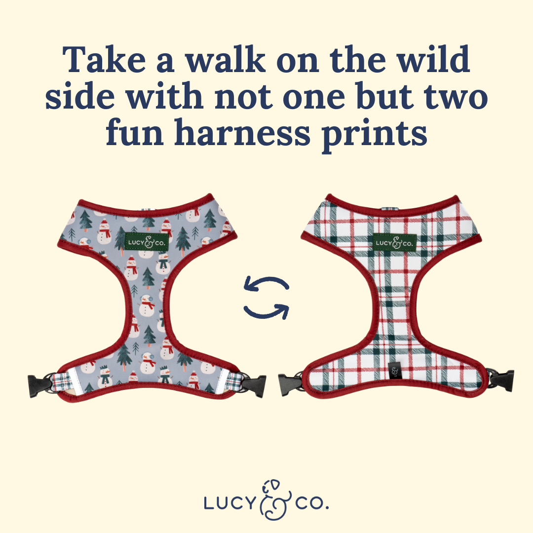 Snow Much Fun Reversible Harness