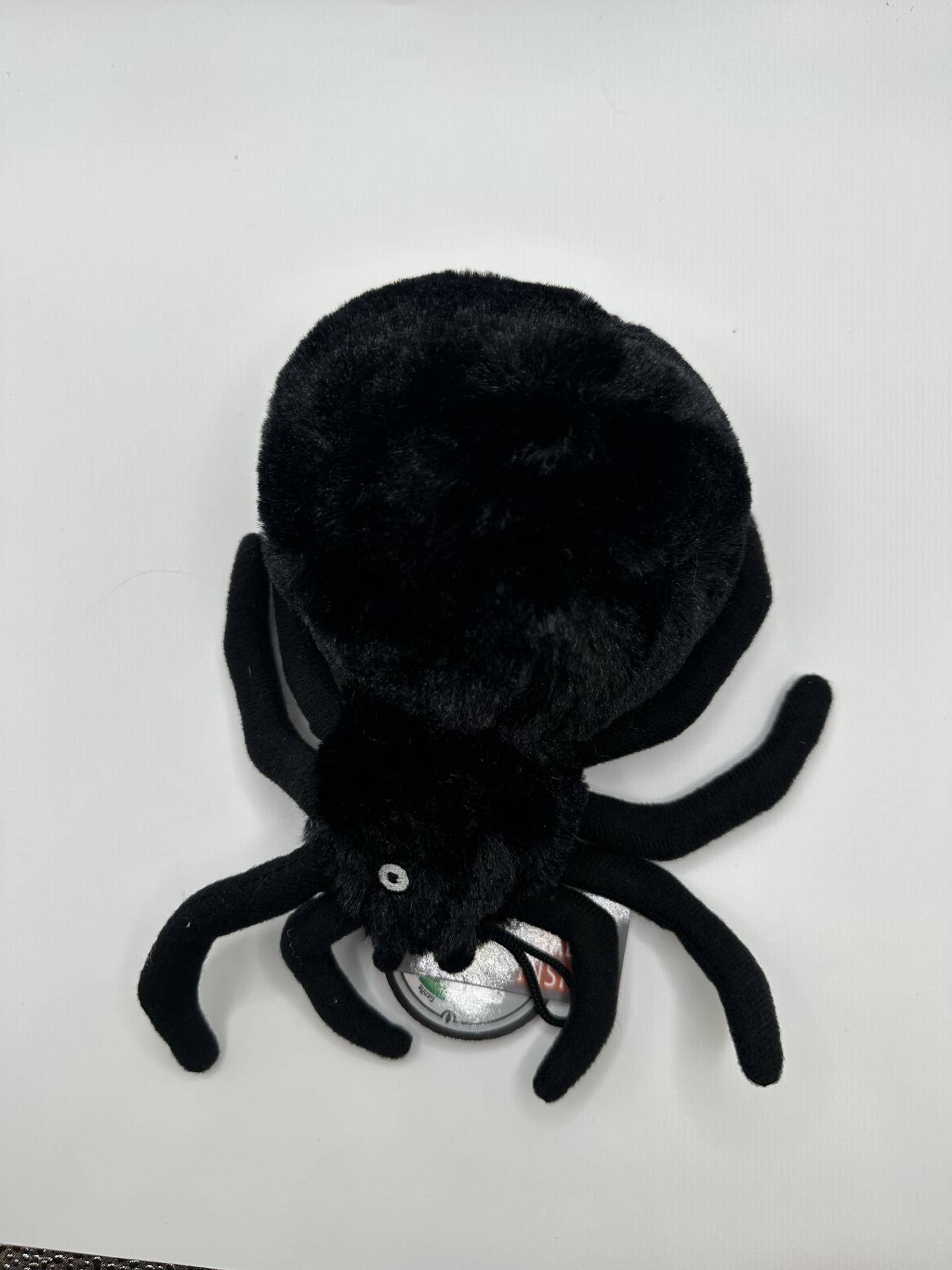 Creepy Baller Spider