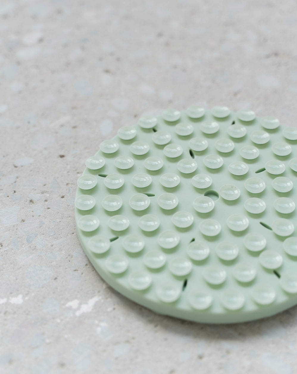 Silicone Snuffle Mat - Mint – LoveThyBeast