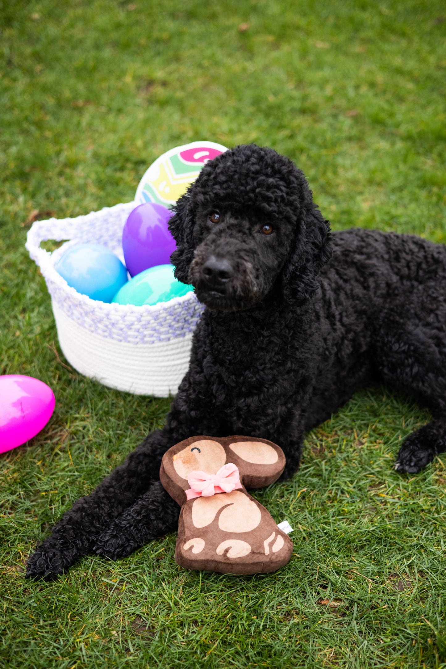 Easter Chocolate Bunny Dog Toy