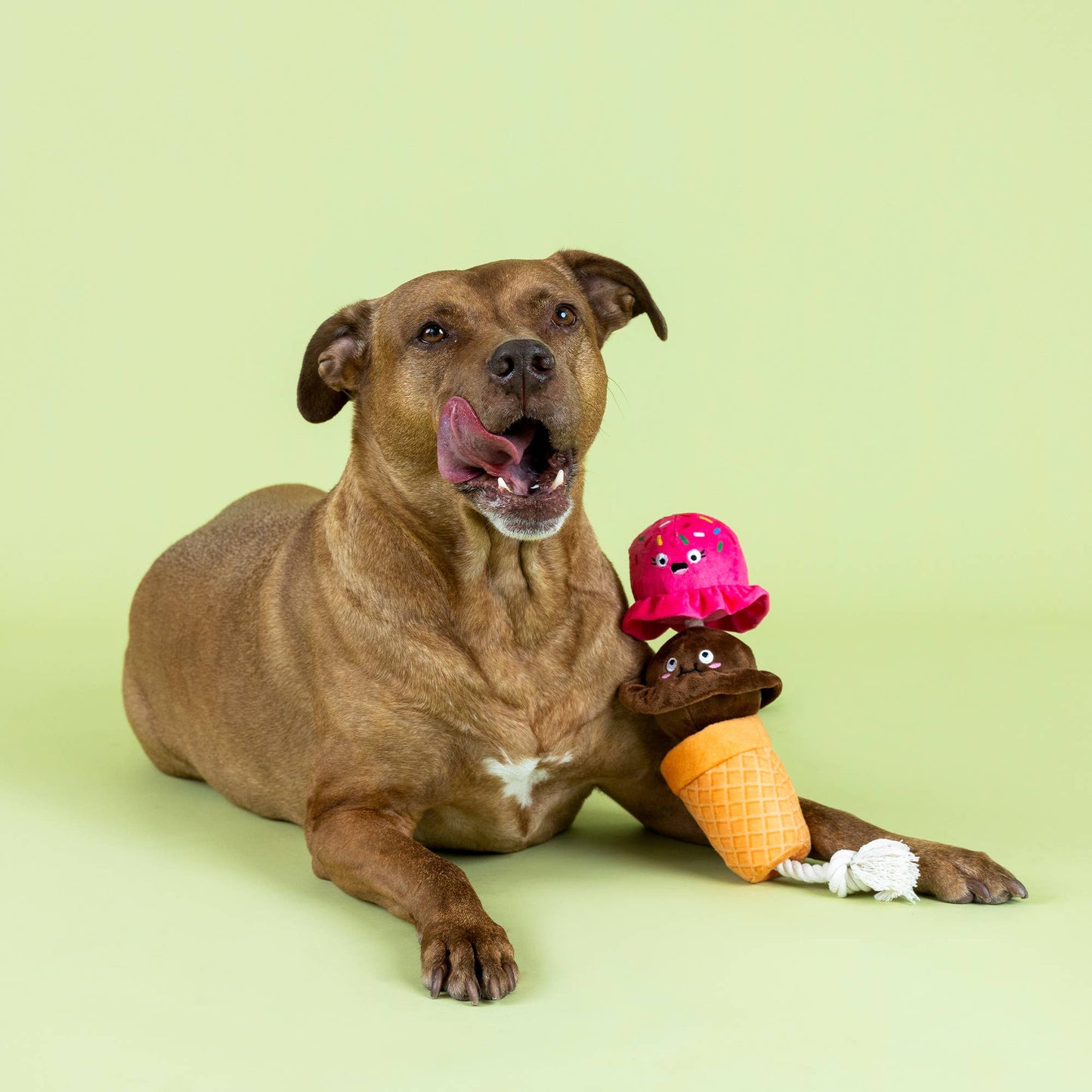 Ice Cream - Plush Rope Toy