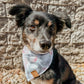 Patriot Pop Bandana