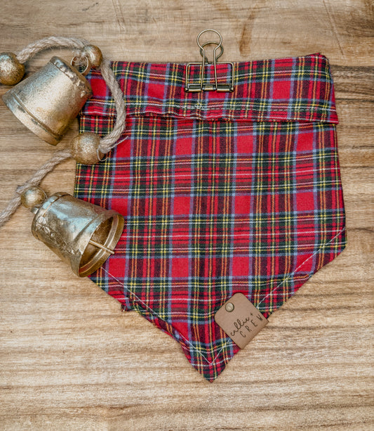 Teddy Bandana