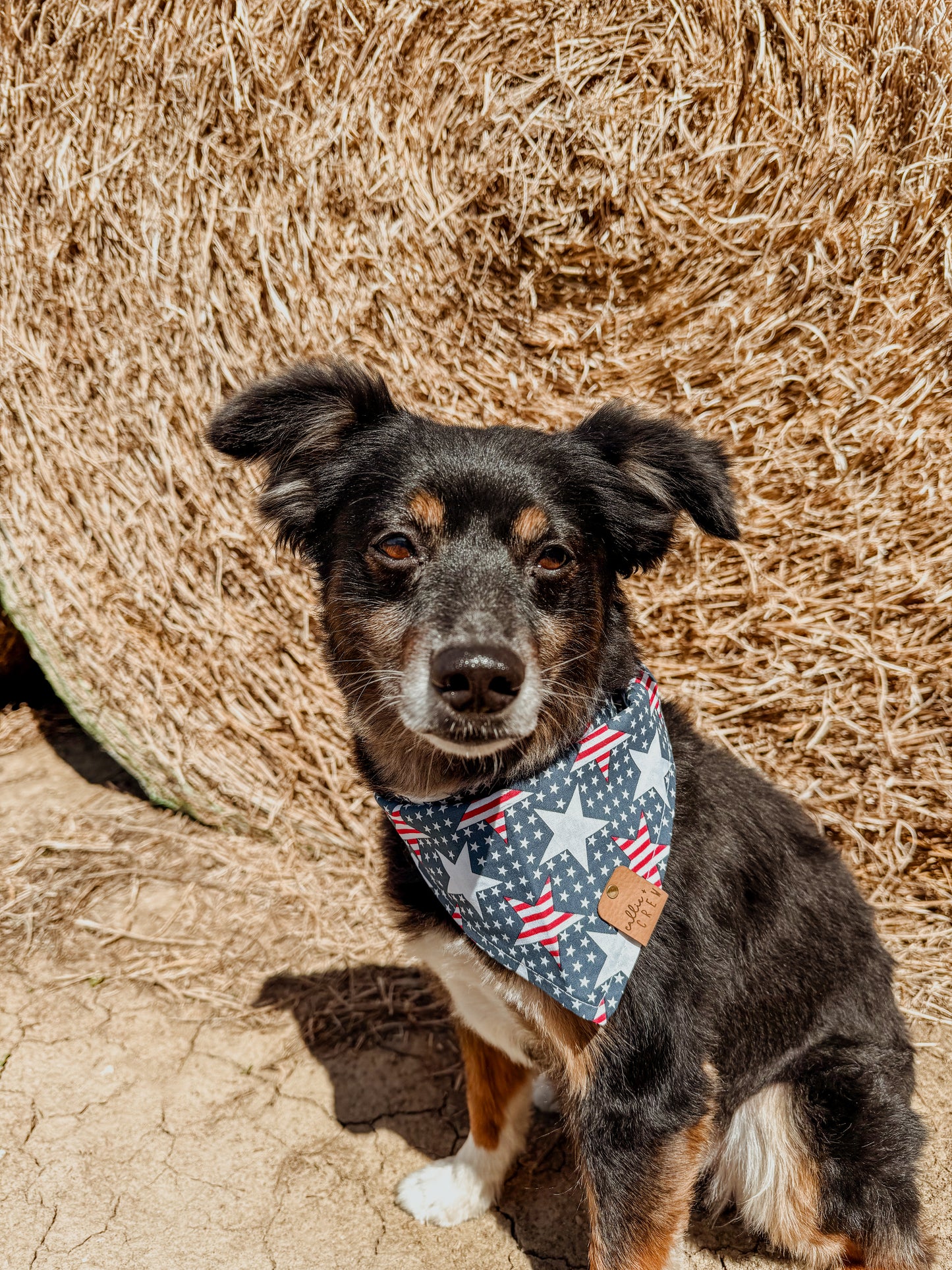 All-American Bandana