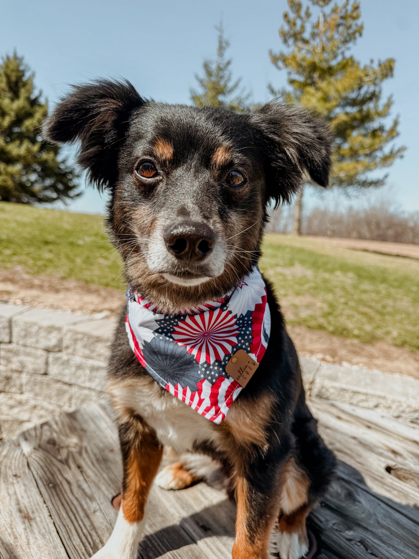 Freedom Bandana