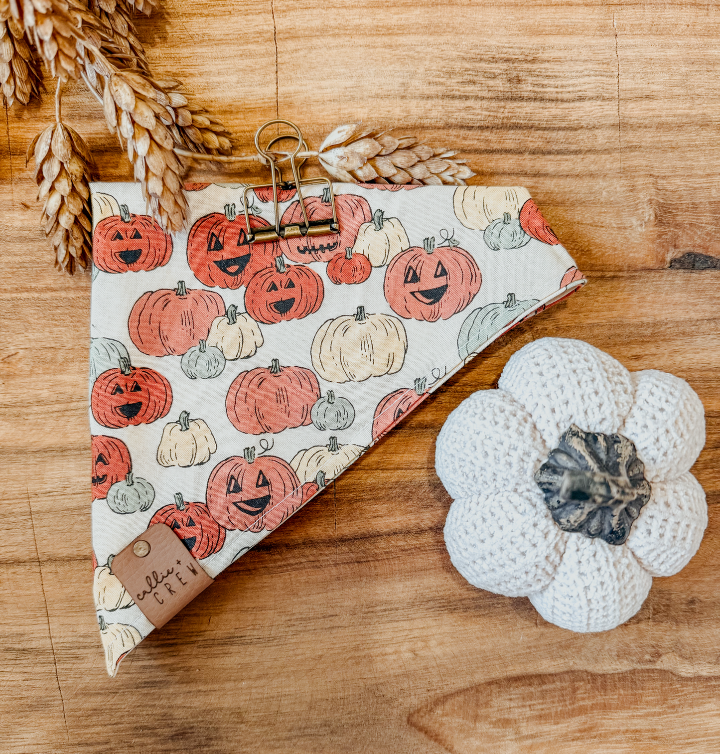 Hey Pumpkin Bandana