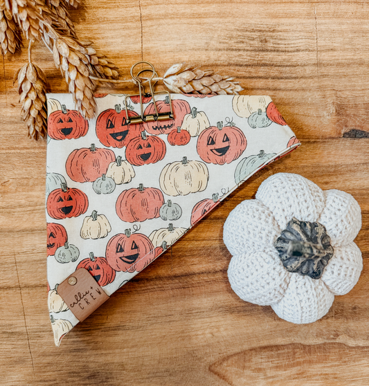 Hey Pumpkin Bandana