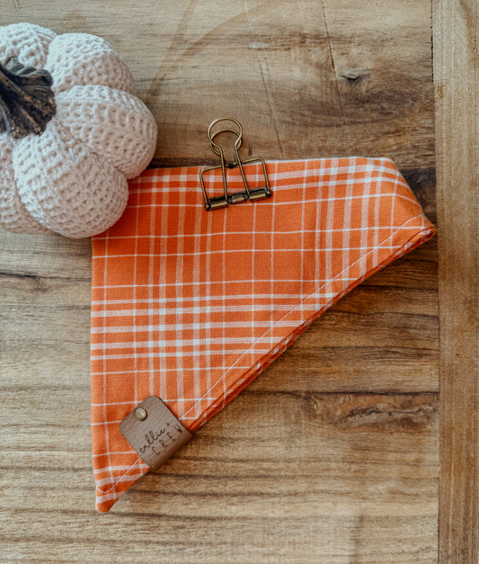 Pumpkin Carving Bandana