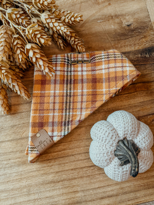 Corn Maze Bandana