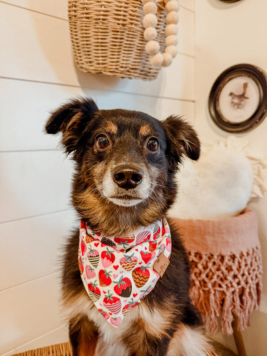 Berry Cute Bandana