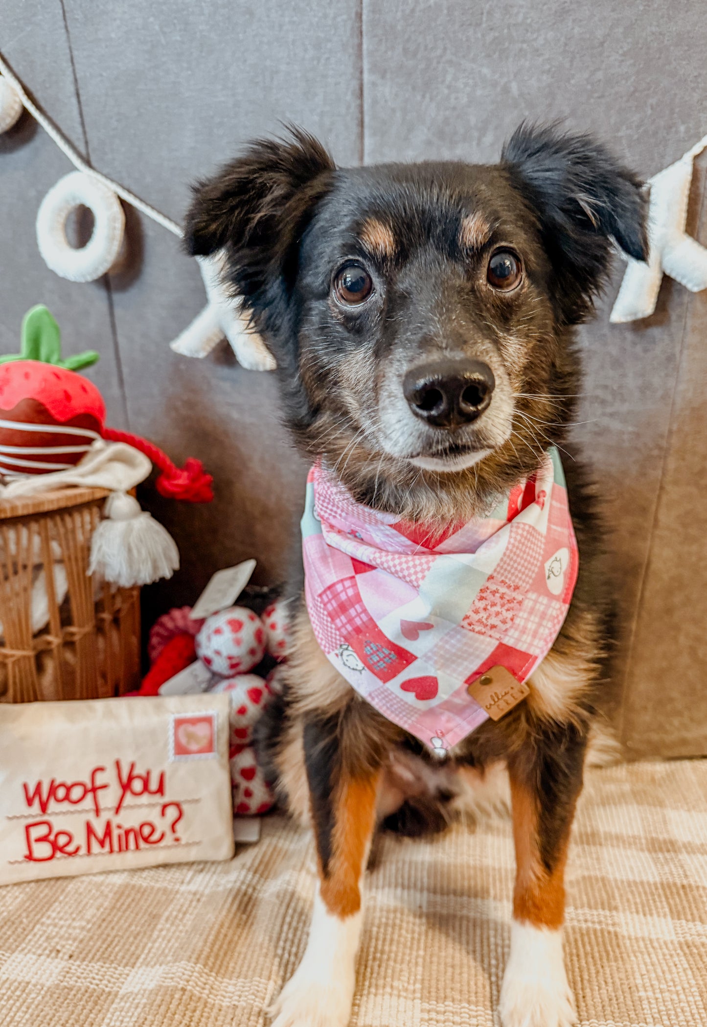 Pink Patchwork Bandana