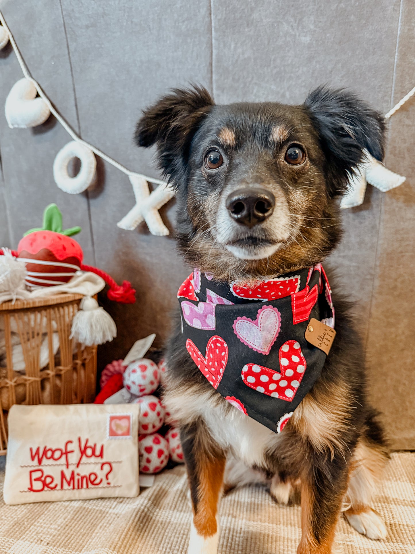 King of Hearts Bandana