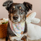Easter Patchwork Bandana