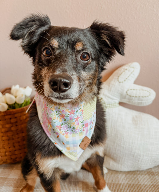 Easter Patchwork Bandana