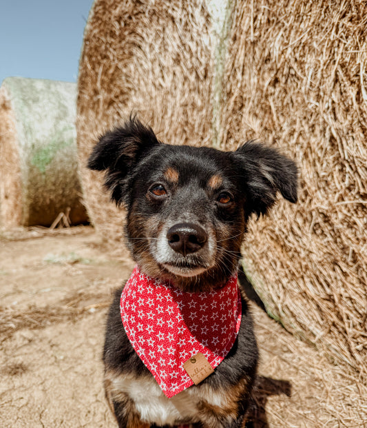 Red Star Bandana