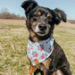 Patriot Pop Bandana