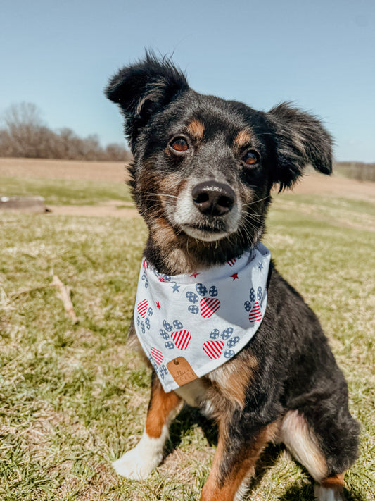 Patriot Pop Bandana
