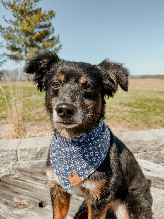 Blue Star Bandana