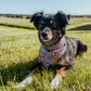 USA Bandana