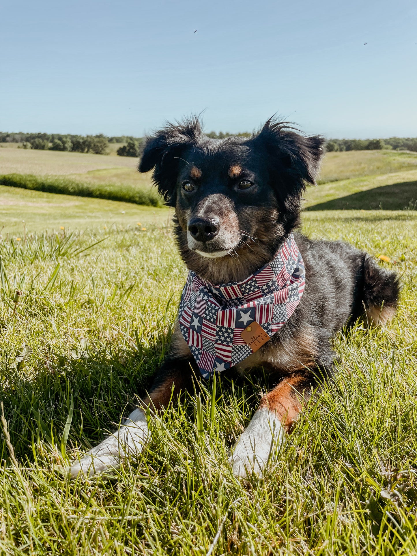 USA Bandana