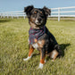 Firecracker Bandana