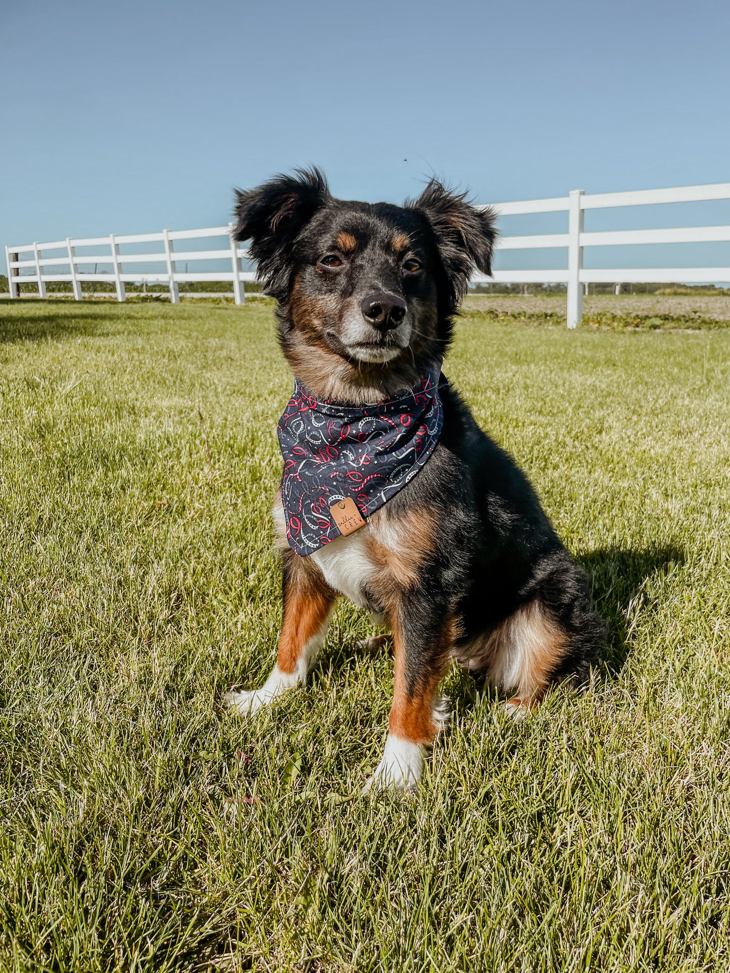 Firecracker Bandana