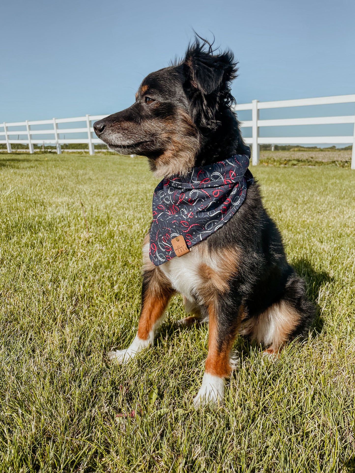 Firecracker Bandana