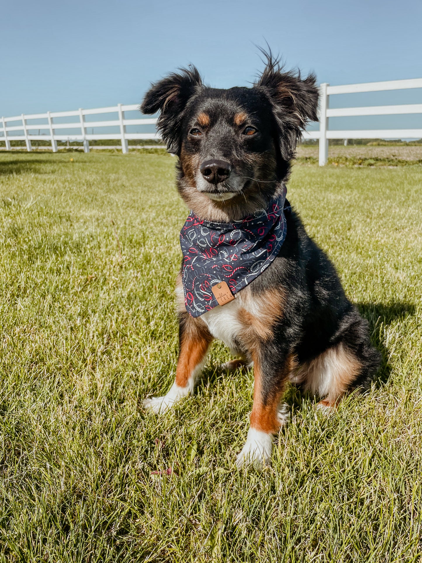 Firecracker Bandana