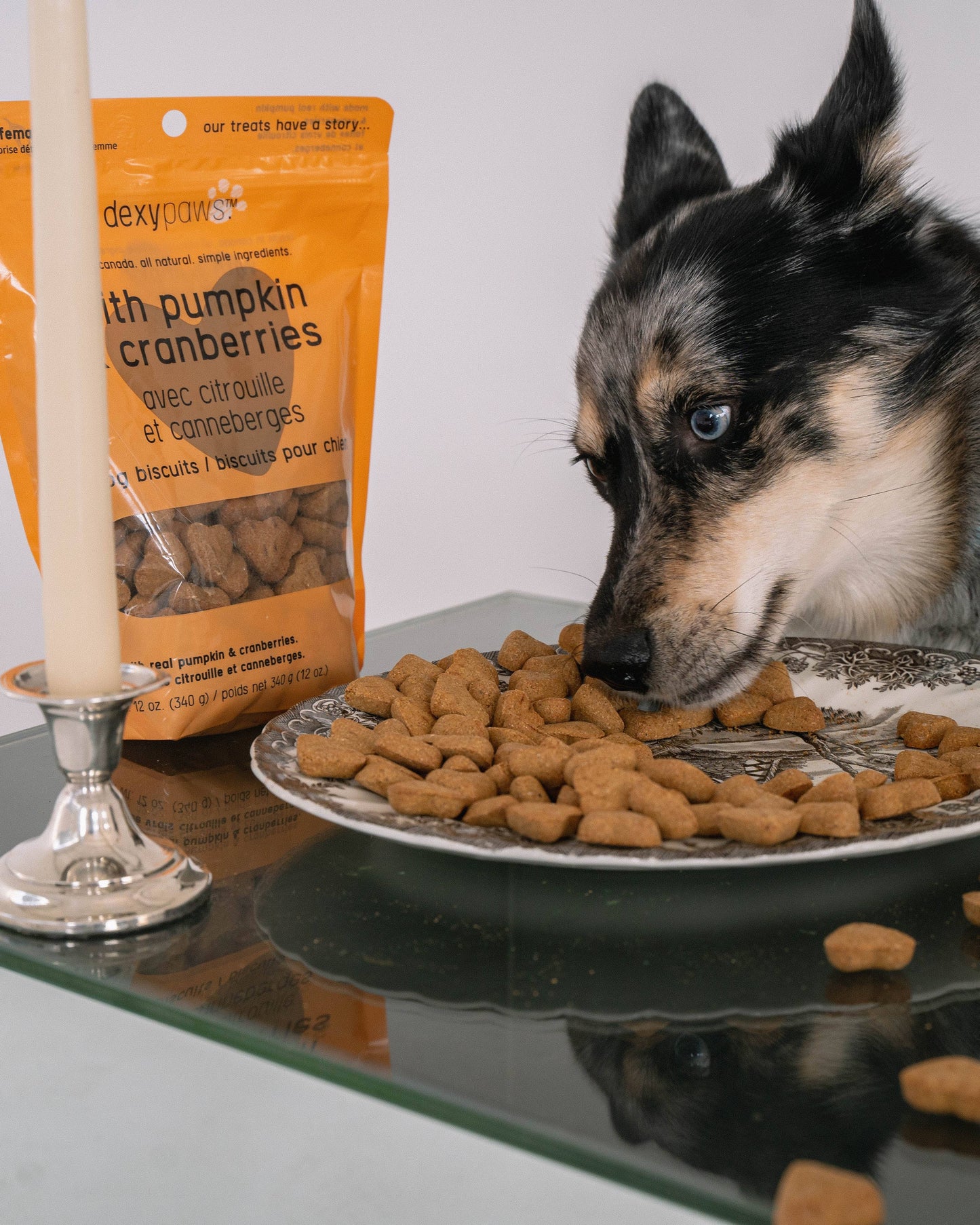 Pumpkin Dog Treats