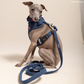 Appley Ever After Corduroy Leash