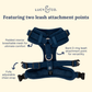 Appley Ever After Corduroy No-Pull Harness