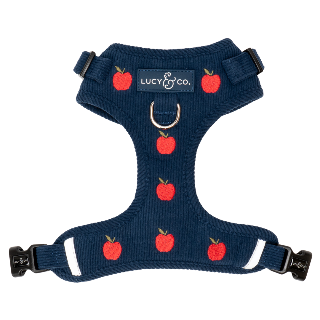 Appley Ever After Corduroy No-Pull Harness